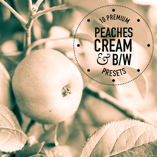 Peaches Creme BW Pack of 10 Lightroom Presets