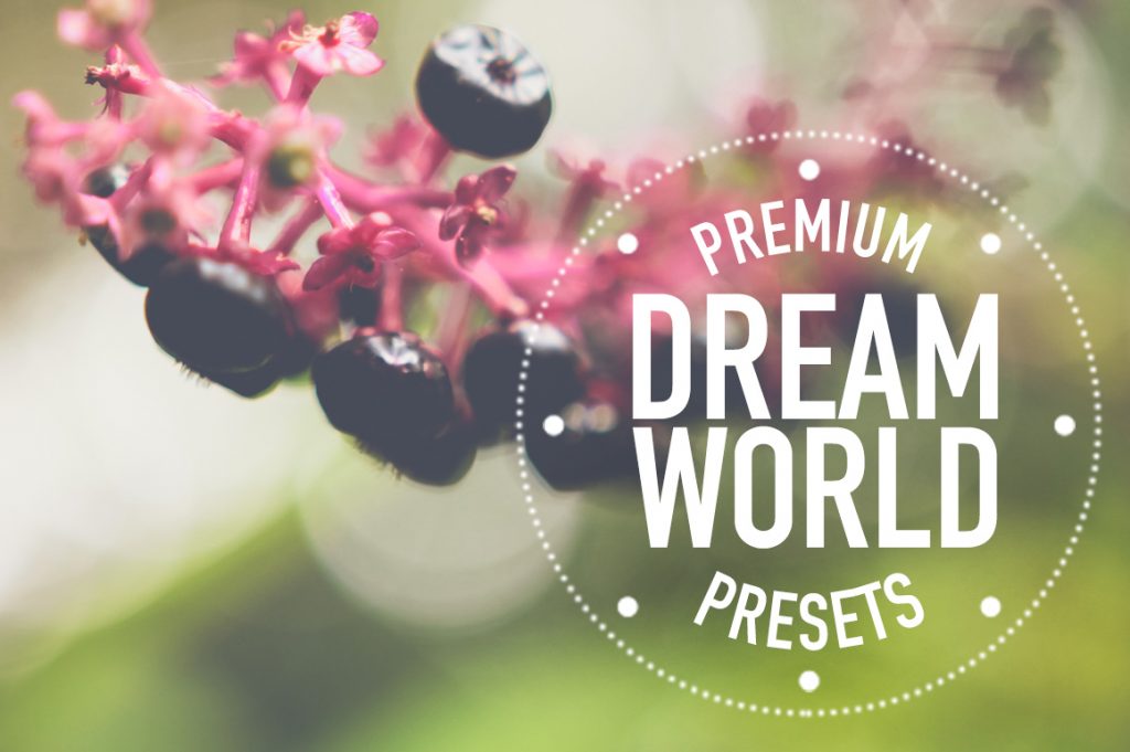 Dreamworld_Creative_Market_Main_Image_Set_1