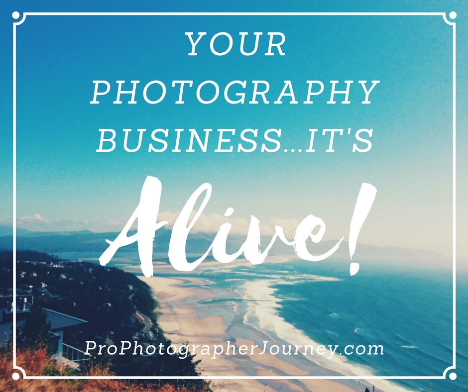 your-photography-business